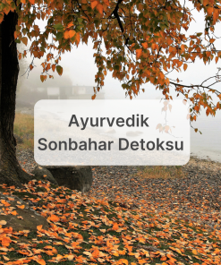 Ayurvedik Sonbahar Detoksu