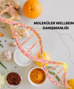 Moleküler Wellbeing Danışmanlığı