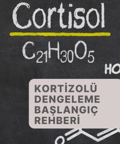 Kortizolü Dengeleme Başlangıç Rehberi