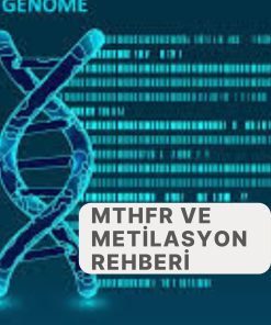 MTHFR ve Metilasyon Rehberi