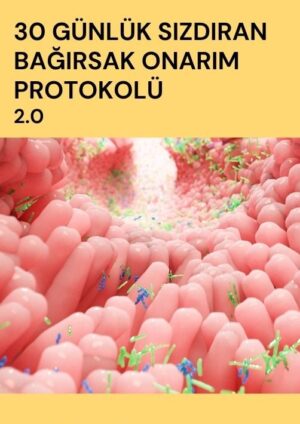 30 Günlük Sızdıran Bağırsak Onarım Protokolü 2.0
